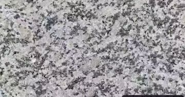 济南 芙蓉白（芝麻白大花）火烧面