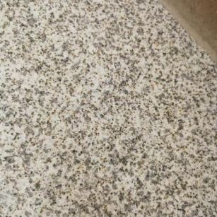 济南 黄金麻中黄光面