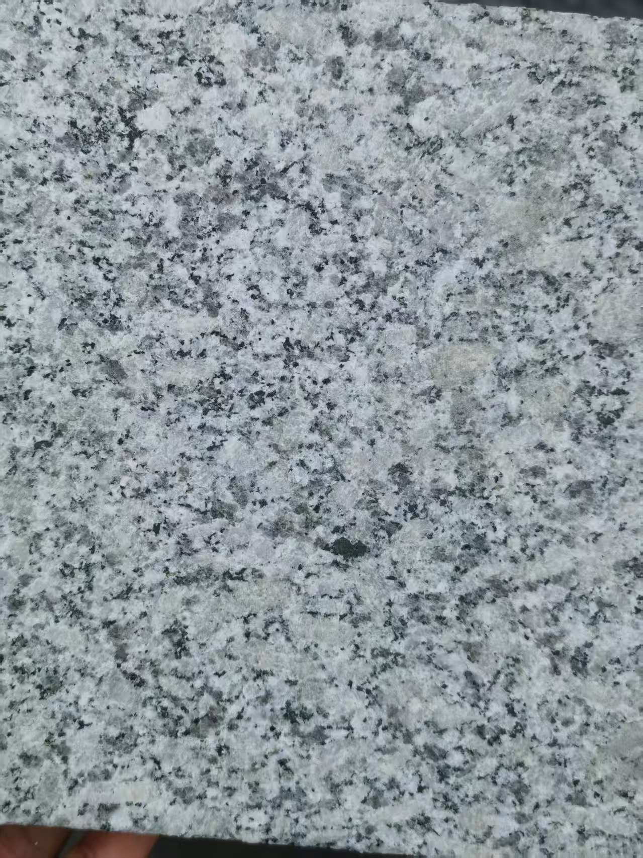 济南 芙蓉白火烧面