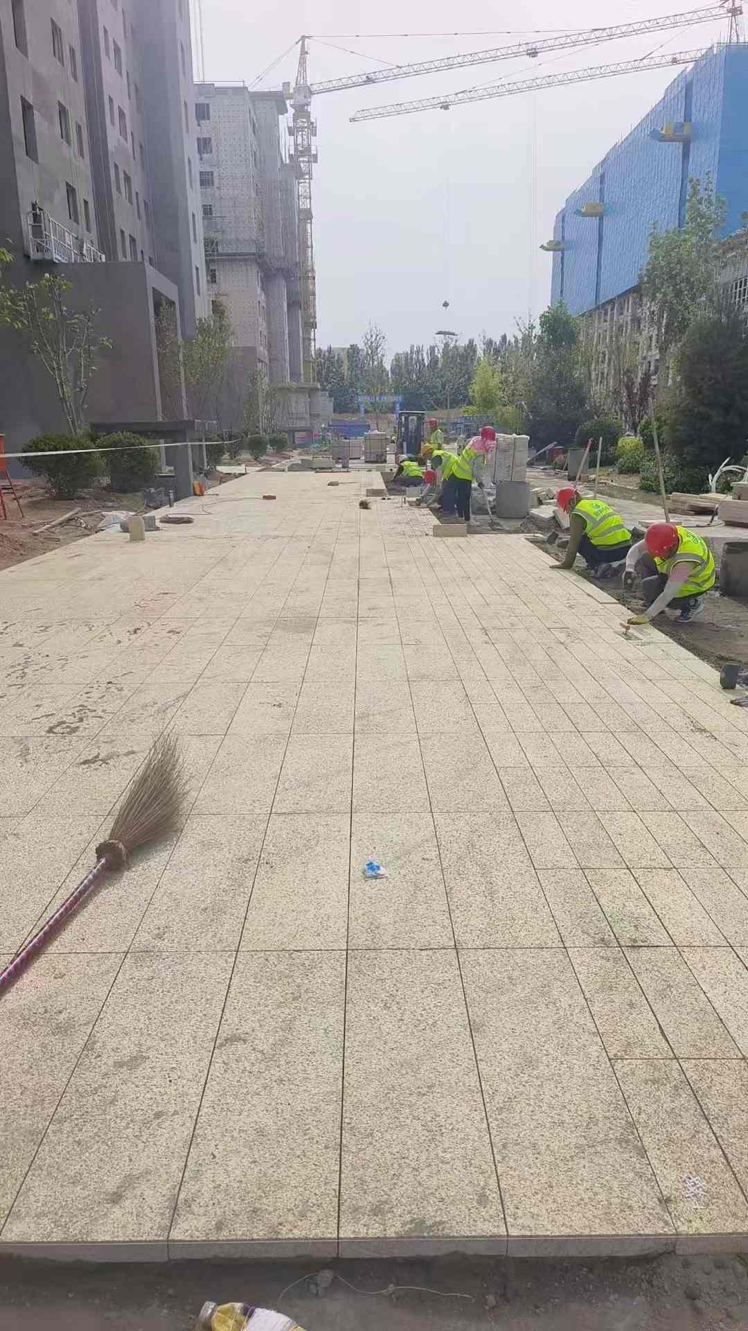 济南黄金麻荔枝面地铺案例