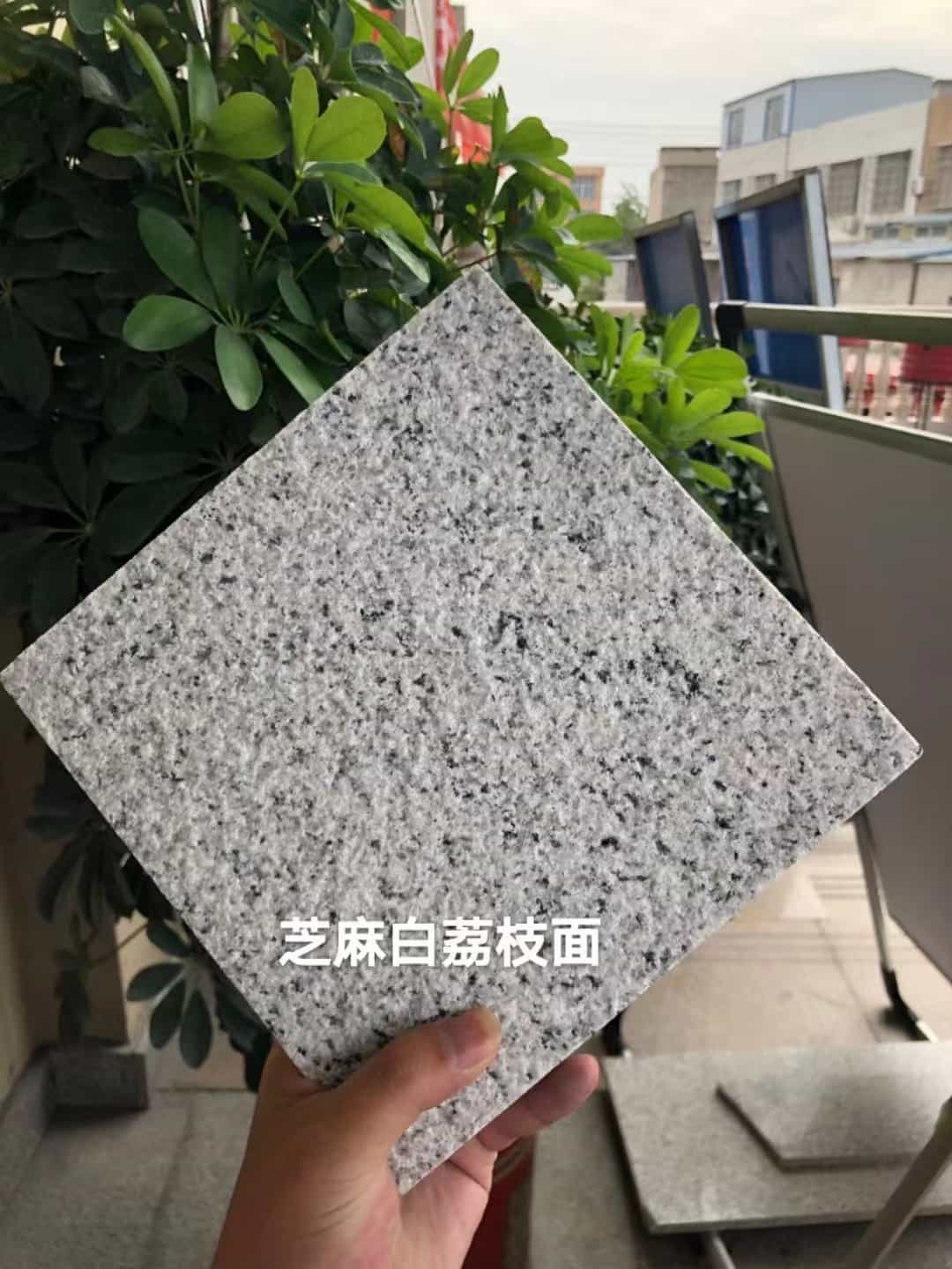 济南 芝麻白荔枝面干挂
