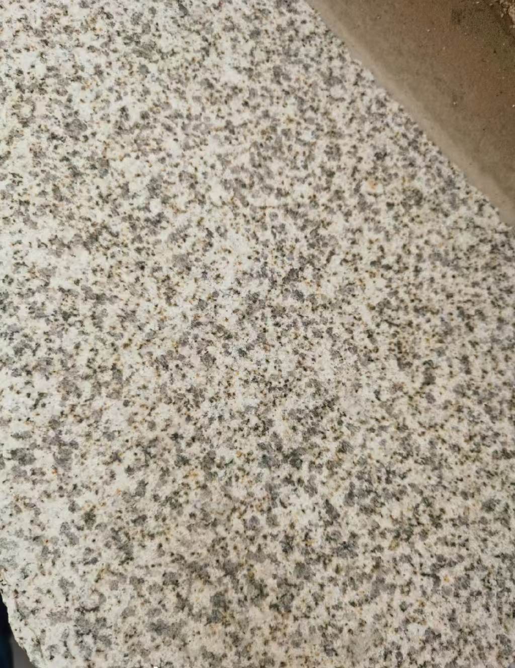 济南 黄金麻中黄光面